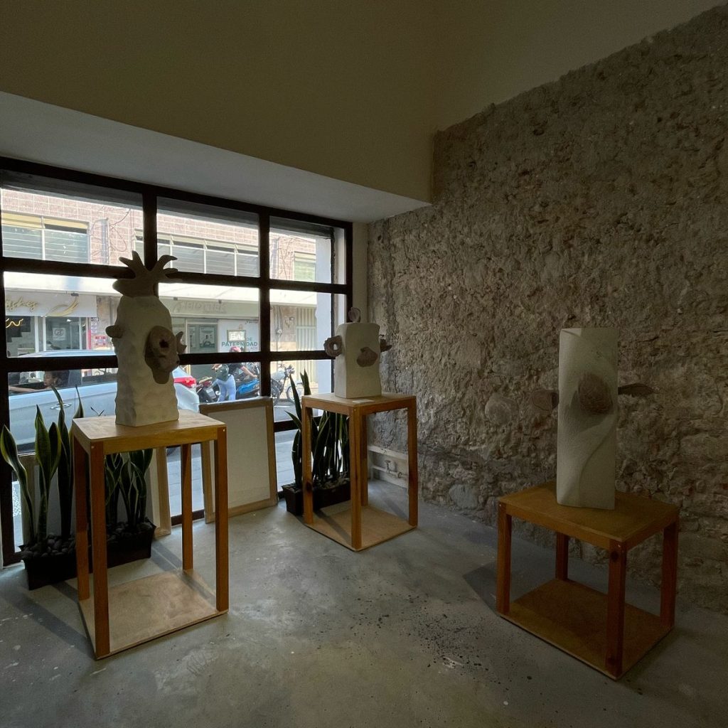 WhatsApp Image 2025-04-03 at 5.34.33 PM (1)