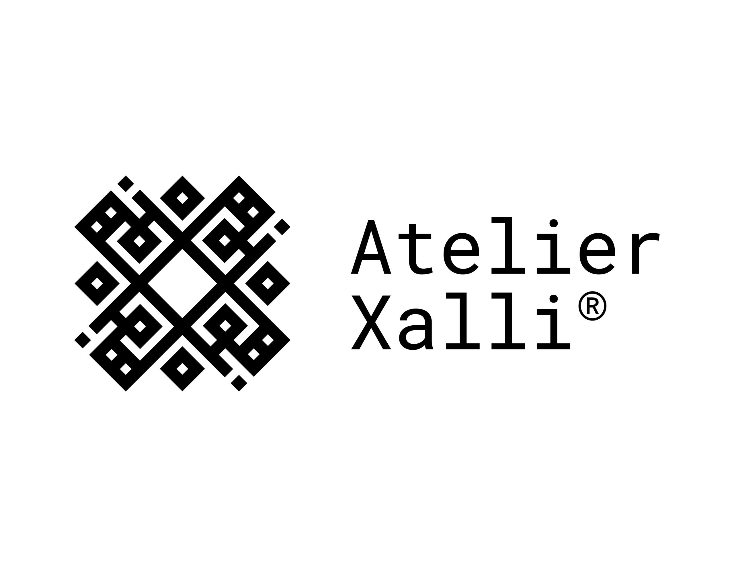 XALLI_logo_horizontal_3